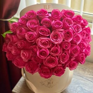 Meet your Posher, Yoyo